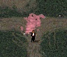 spydrop