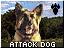 dogicon-0000.png